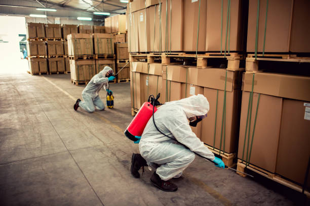 Best Emergency Pest Control  in Tulia, TX