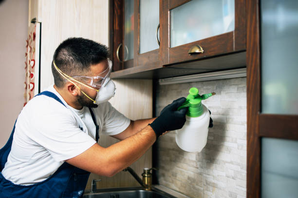 Reliable Tulia, TX Pest Control Solutions