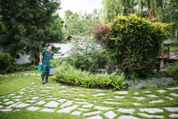 Best Pest Control for Homes  in Tulia, TX