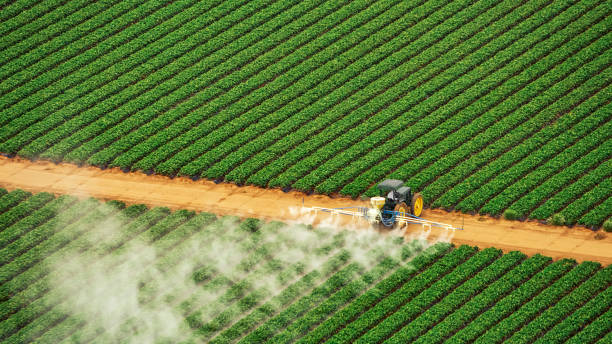 Best Pest Control Near Me in Tulia, TX