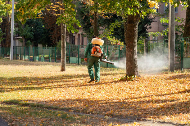 Best Pest Prevention Services  in Tulia, TX