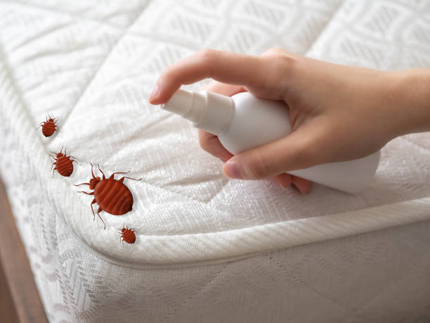 Best Commercial Pest Control Services  in Tulia, TX