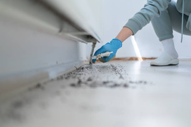 Best Mosquito Control Services  in Tulia, TX
