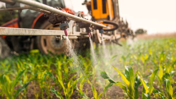 Best Best Pest Control Companies  in Tulia, TX